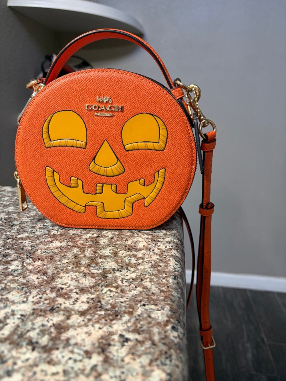 Coach Pumpkin Purse